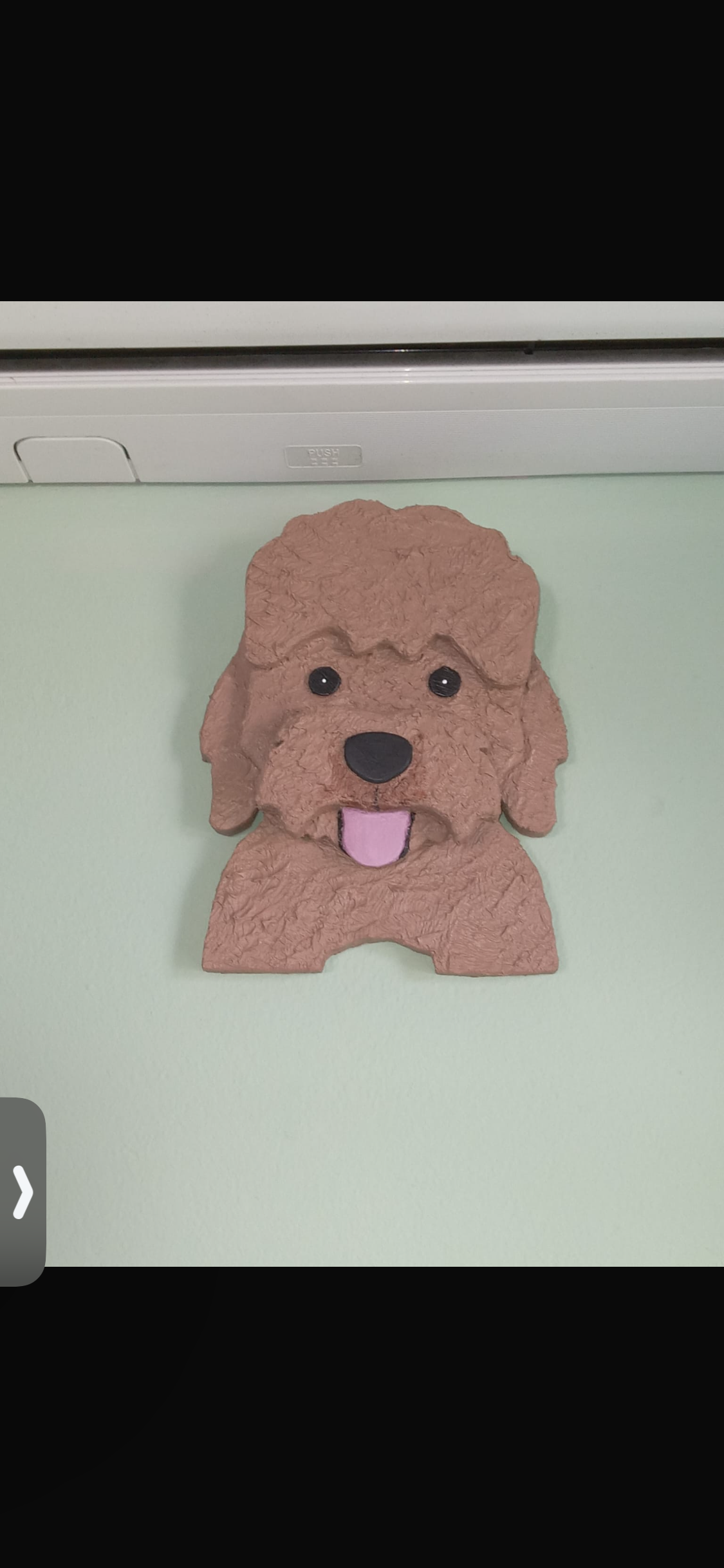 Leash/Key holder