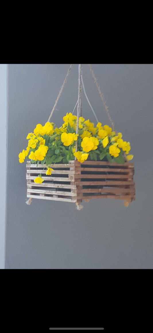 Hanging plant pots